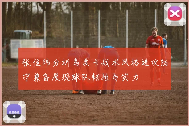 张佳玮分析乌度卡战术风格进攻防守兼备展现球队韧性与实力