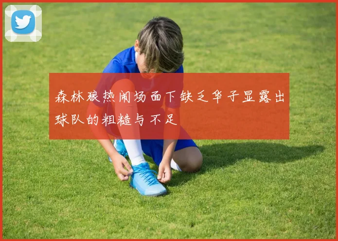 森林狼热闹场面下缺乏华子显露出球队的粗糙与不足