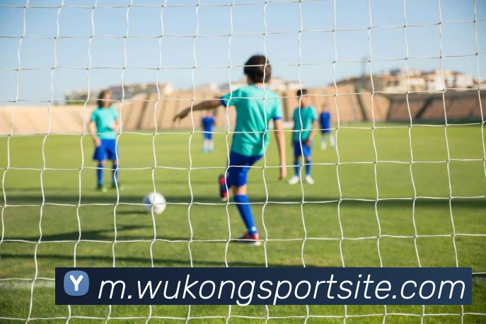 悟空体育品牌故事