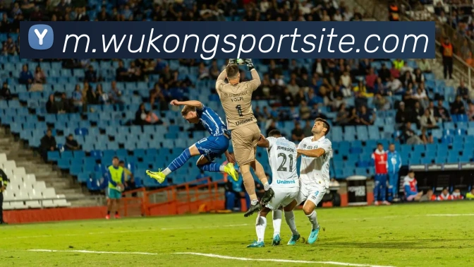 悟空体育服务体系