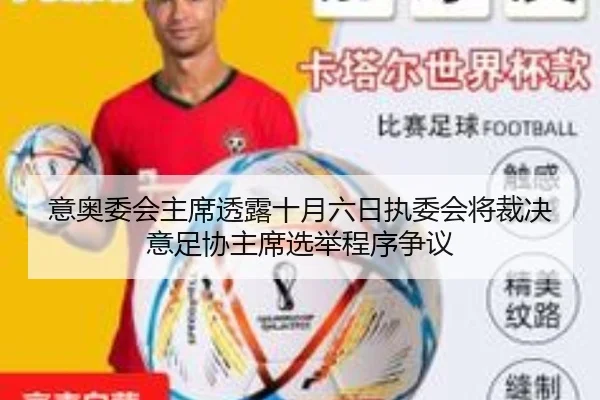 意奥委会主席透露十月六日执委会将裁决意足协主席选举程序争议（WukongSports）